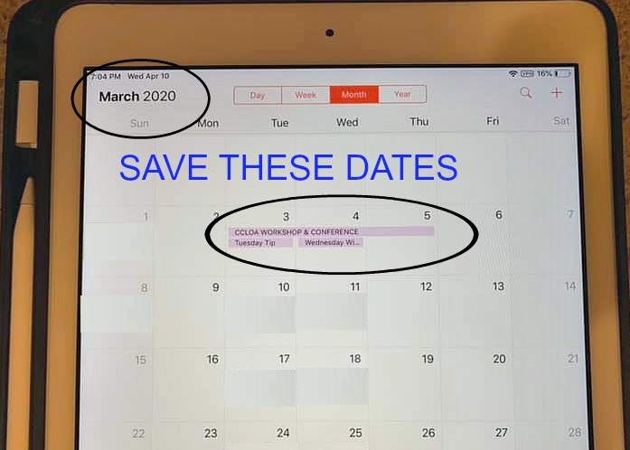 56905077_10216821399641034_9119120248434327552_n